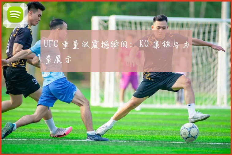 UFC 重量级震撼瞬间:KO 集锦与力量展示