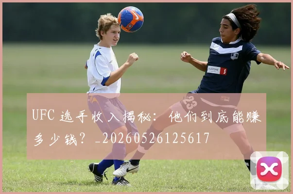 UFC 选手收入揭秘：他们到底能赚多少钱？_20260526125617
